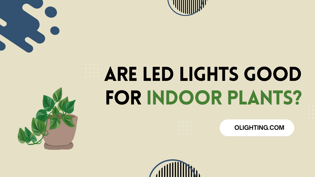 Are LED Lights Good For Indoor Plants?